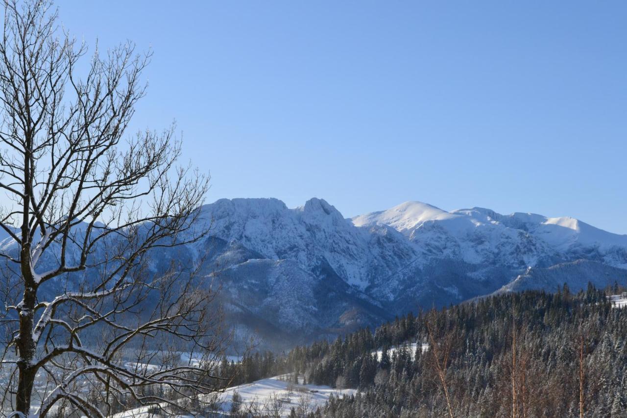 Domki Widokowe Kowalski - Smith'S Wooden Challets Zakopane Eksteriør bilde